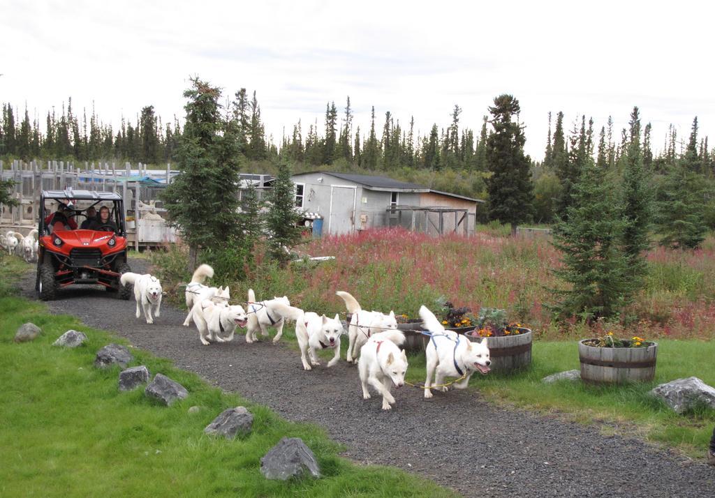 Arctic Chalet Resort Инувик Экстерьер фото
